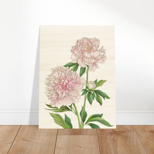 Peony Birch Wood Print