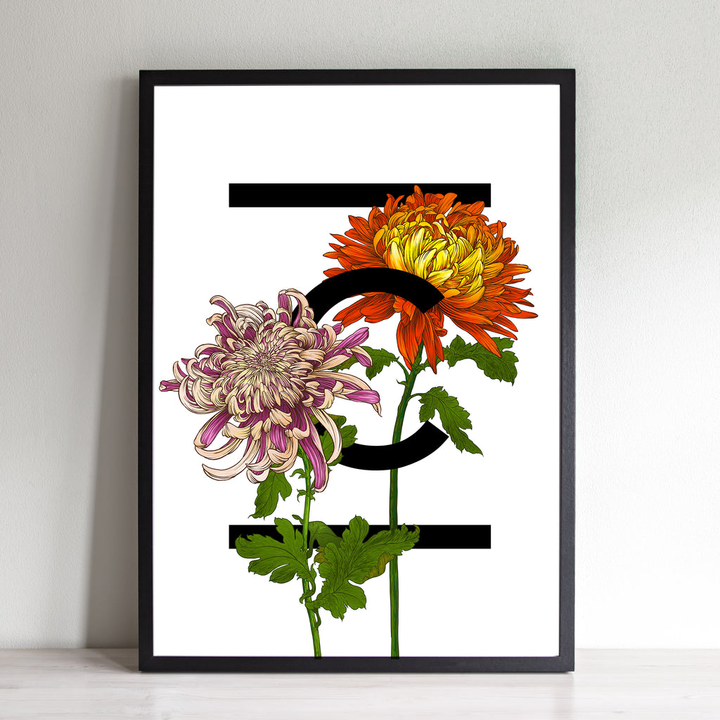 C For Chrysanthemum Flower Art Print