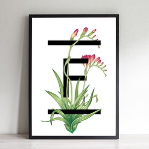 F for Freesia Flowers Art Print