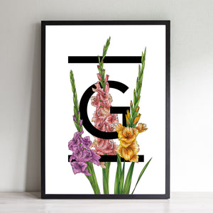G for Gladiolus Flowers Art Print