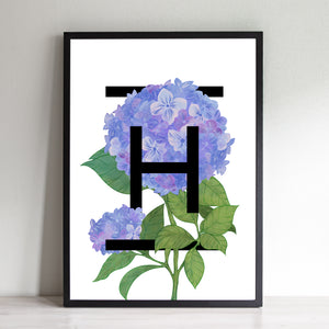 H For Hydrangea Flowers Art Print